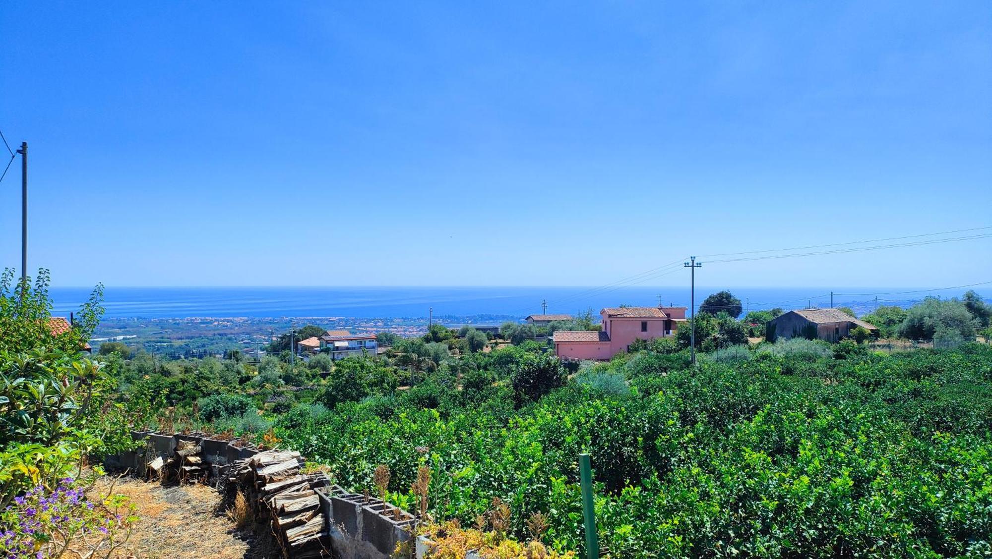 Il Limoneto Di Leo Mascali Exterior foto